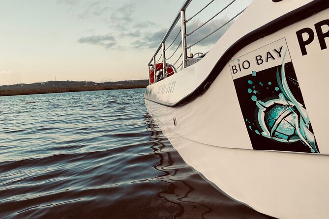 1-Hour Bioluminescent Boat Tour in Mosquito Bay, Vieques - Tour Overview and Details