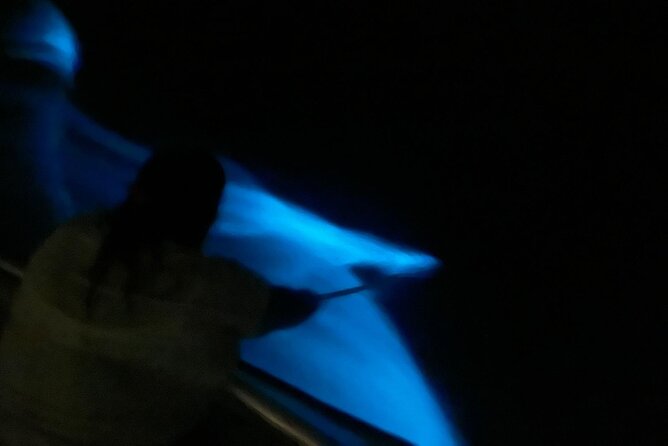 1-Hour Bioluminescent Boat Tour in Mosquito Bay, Vieques - Booking and Participation Requirements