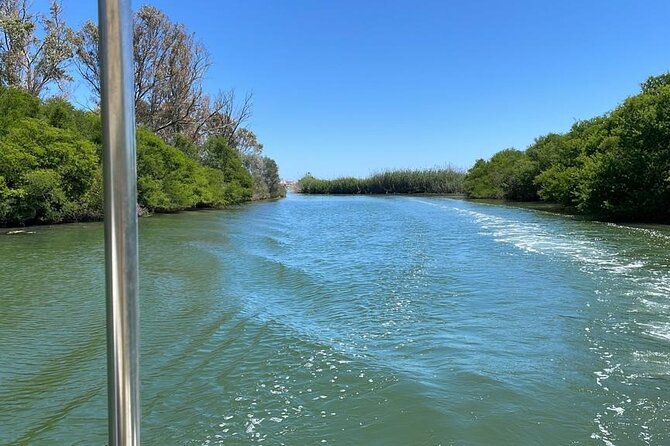 1 Hour Boat Tour in the Ciane Nature Reserve in Syracuse - Meeting Point and Pickup Details