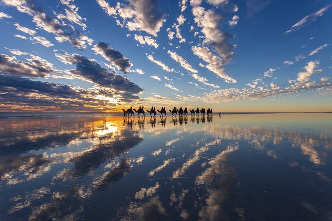 1 Hour Broome Sunset Camel Tour - Activity Details