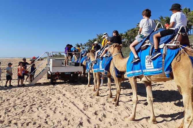 1 Hour Broome Sunset Camel Tour - Camel Ride Experience