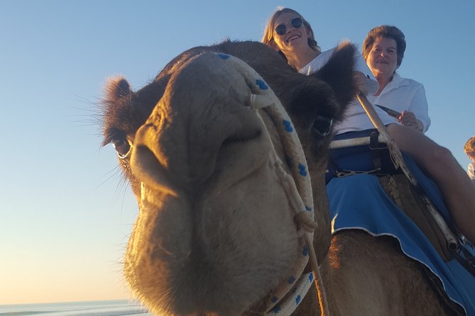 1 Hour Broome Sunset Camel Tour - Inclusions and Offerings