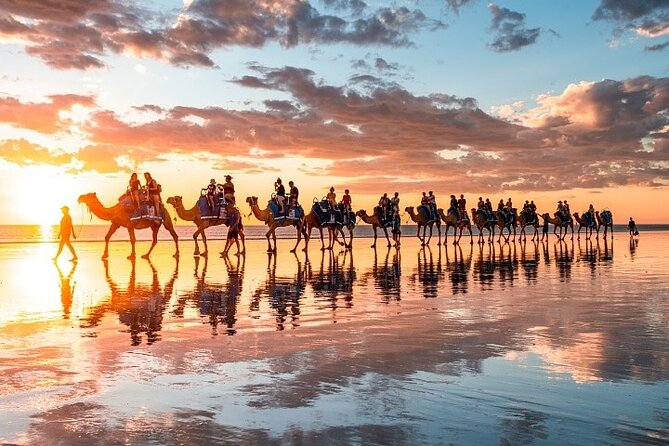 1 Hour Broome Sunset Camel Tour - Tour Logistics
