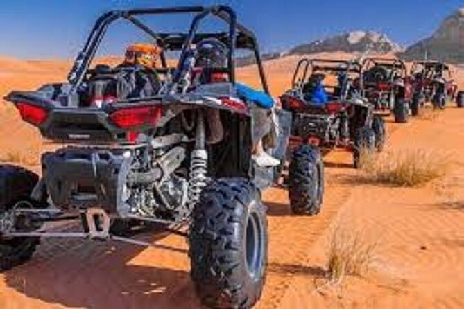 1 Hour Buggy Ride Self-Drive With Camel Ride And Sandboarding - Camel Ride and Sheesha
