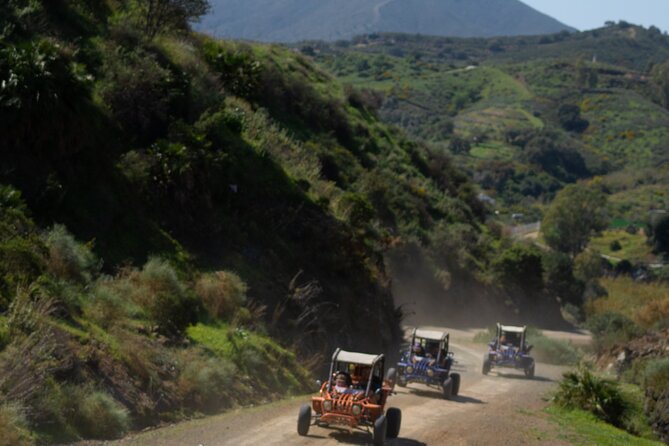 1 Hour Buggy Safari Experience in the Mountains of Mijas With Guide - Whats Included in the Experience