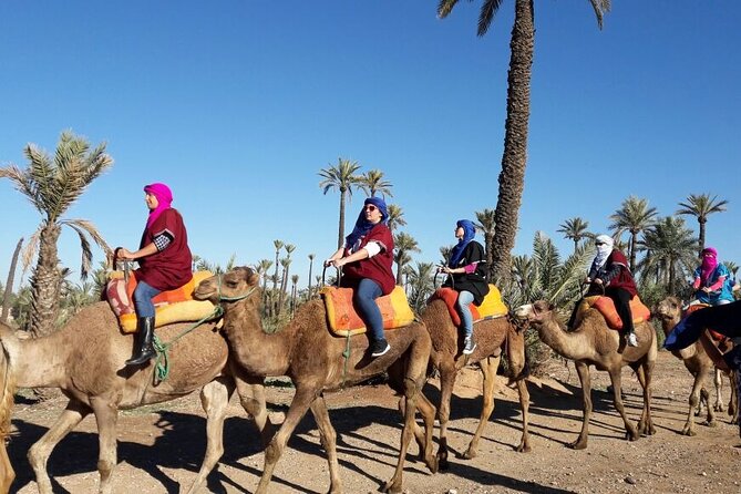1-Hour Camel Ride and 1-Hour Quad Bike Ride in Marrakech. - Exploring the Palm Groves by Camel