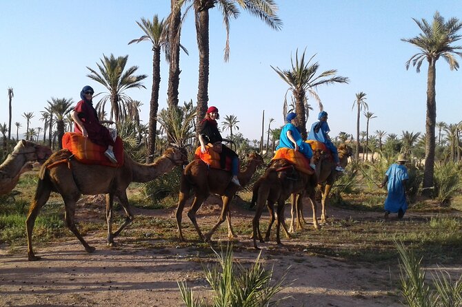 1-Hour Camel Ride in La Palmeraie Marrakech With Hotel Pick up - Pickup Information