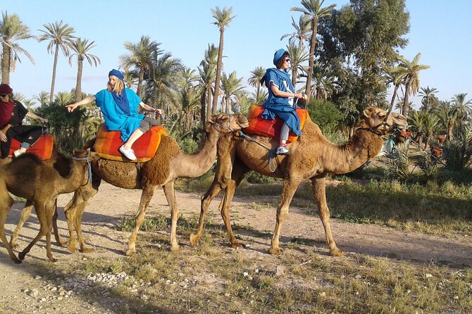 1-Hour Camel Ride in La Palmeraie Marrakech With Hotel Pick up - Health and Safety Guidelines