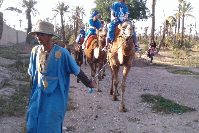 1-Hour Camel Ride in La Palmeraie Marrakech With Hotel Pick up - Camel Riding Experience