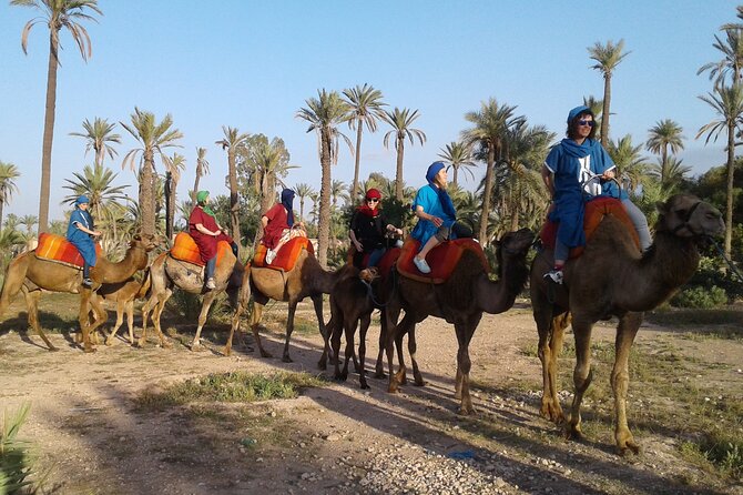 1-Hour Camel Ride in La Palmeraie Marrakech With Hotel Pick up - Moroccan Mint Tea