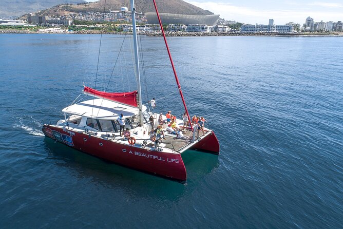1- Hour Catamaran Cruise Cape Town - Meeting and Pickup