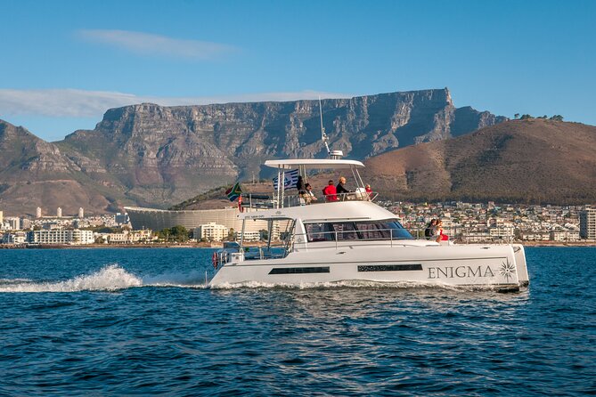 1 Hour Coastal Catamaran Cruise From Cape Town - Inclusions
