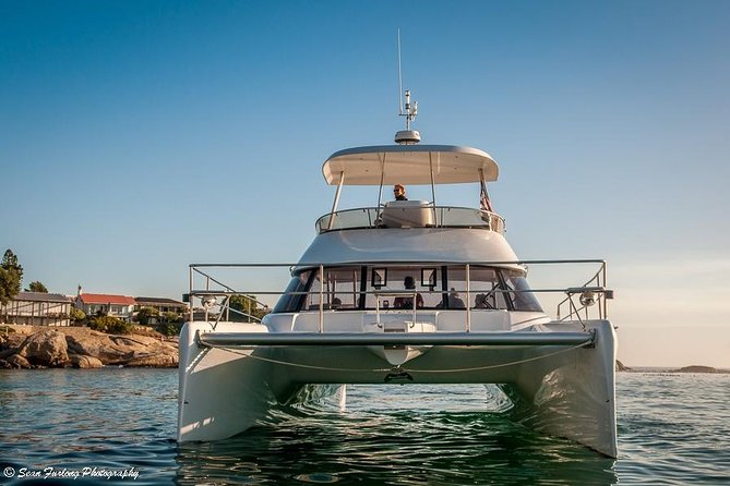 1 Hour Coastal Catamaran Cruise From Cape Town - Meeting and Pickup