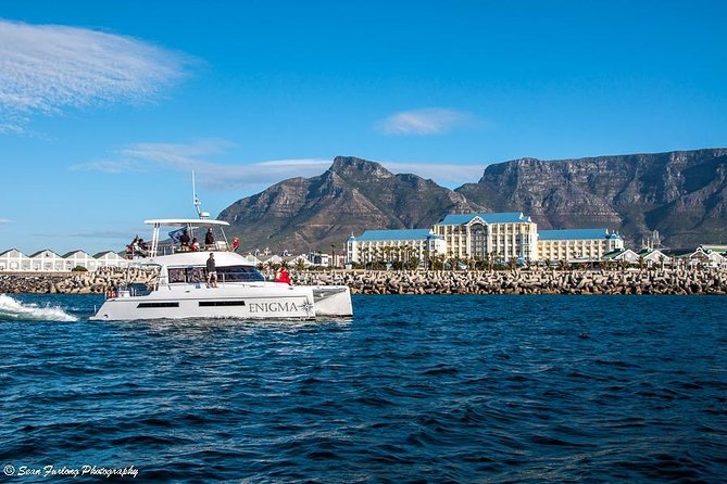 1 Hour Coastal Catamaran Cruise From Cape Town - Tour Durations