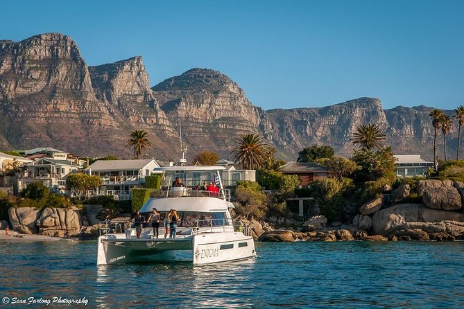 1 Hour Coastal Catamaran Cruise From Cape Town - Booking and Cancellation