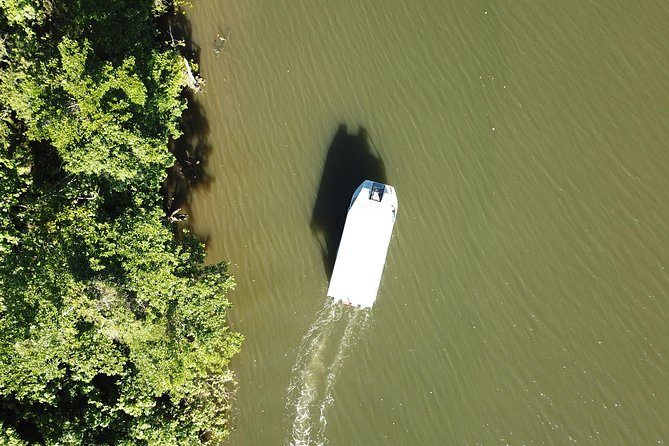 1-Hour Daintree River Wildlife Cruise - Additional Information