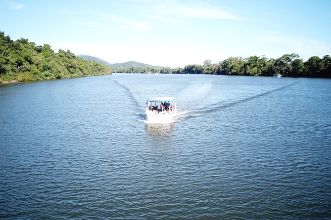 1-Hour Daintree River Wildlife Cruise - Experiencing the UNESCO-listed Region