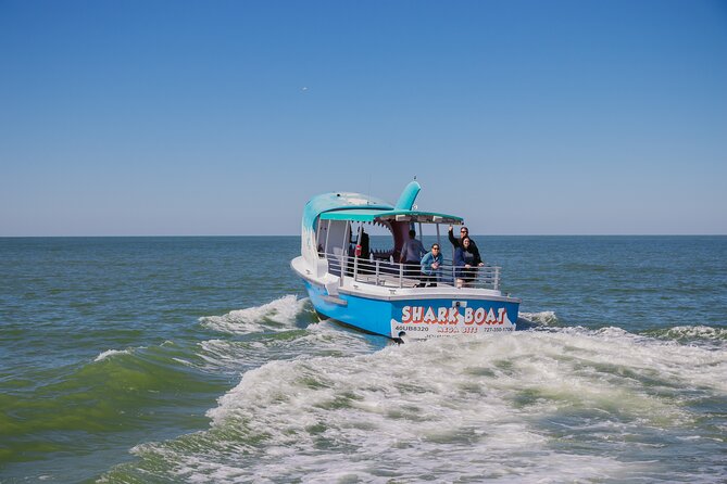 1-Hour Dolphin Sightseeing Adventure Cruise From Madeira Beach - Meeting Location and Parking