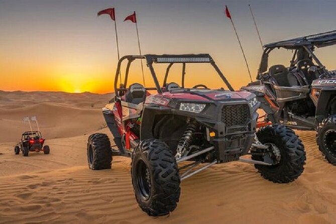 1-Hour Dune Buggy Self Drive With Camel Ride and Sand Boarding in Red Dunes - Booking Details and Pricing