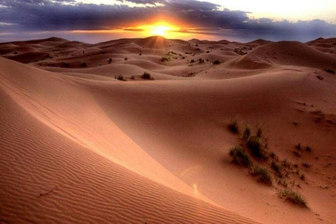 1-Hour Dunes Buggy Self-drive, Camel Riding, Sand Boarding In Red Desert Dunes - Ideal for Independent Travelers
