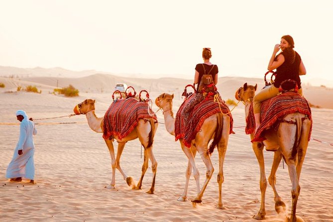 1-Hour Dunes Buggy Self-drive, Camel Riding, Sand Boarding In Red Desert Dunes - Pickup and Transportation Arrangements