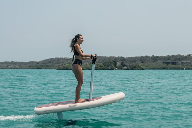 1 Hour Efoil FliteScooter Experience in Fenix Beach Cartagena - Whats Included in the Tour