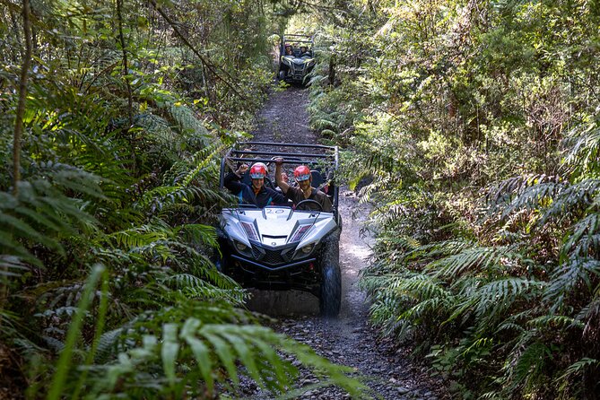 1 Hour Enchanted Forest Track - BUGGIES - Safety and Equipment