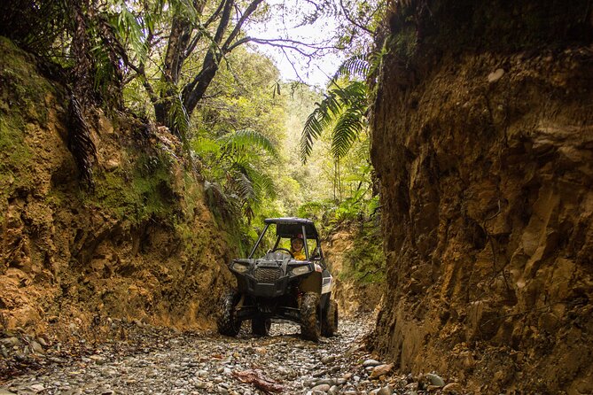 1 Hour Enchanted Forest Track - BUGGIES - Meeting and Pickup Information