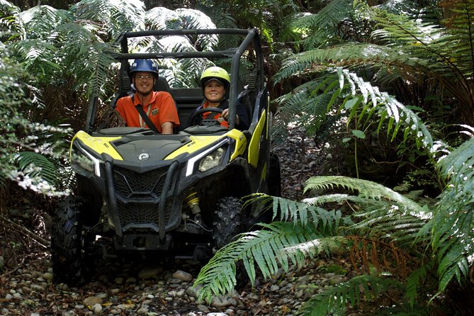 1 Hour Enchanted Forest Track - BUGGIES - Accessibility and Restrictions