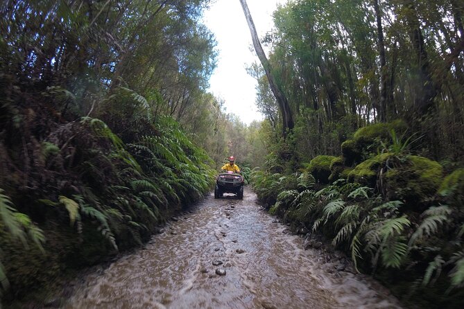 1 Hour Enchanted Forest Track - QUADS - Souvenir Photo Opportunity