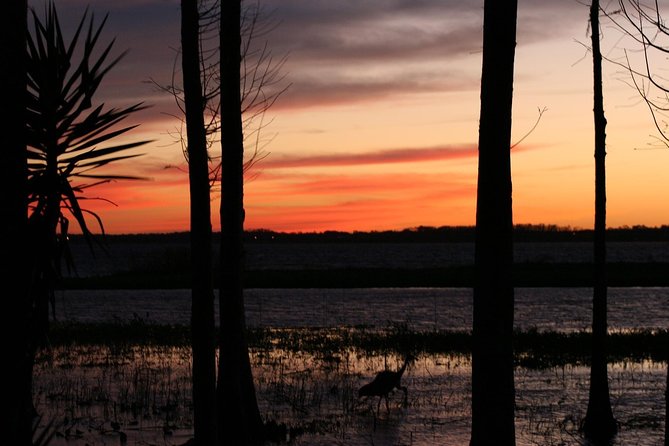 1-Hour Evening Airboat Ride - Exploring the Nighttime Everglades