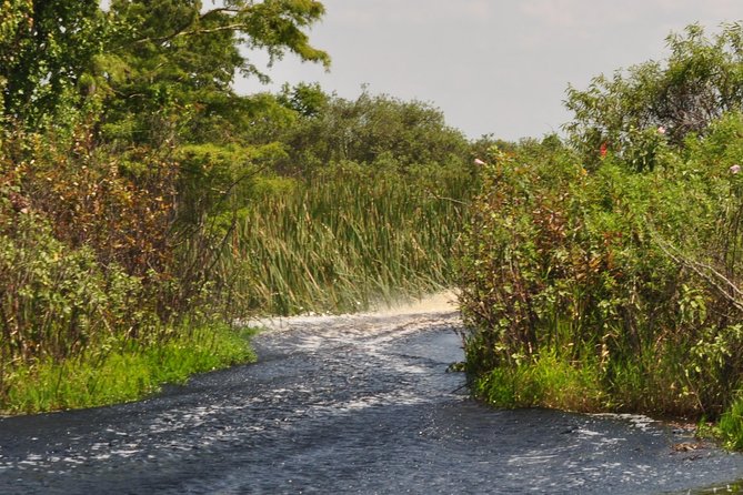 1 Hour Everglades Airboat Tour Central Florida - Customer Feedback and Ratings