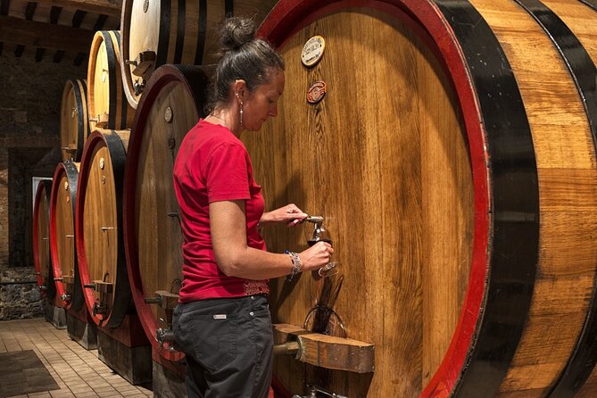 1-Hour Experience With Brunello. Visit to the Vineyard and Cellar - Cellar Visit and Barrel Aging Insights