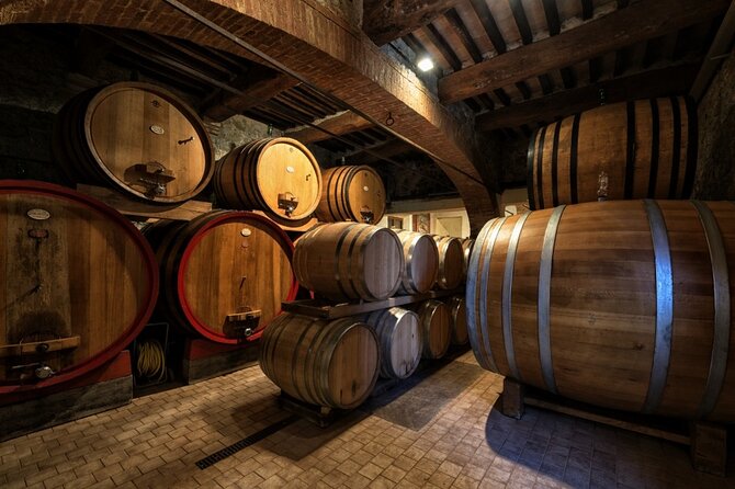 1-Hour Experience With Brunello. Visit to the Vineyard and Cellar - Meeting Donatella Cinelli Colombini, the Winemaker