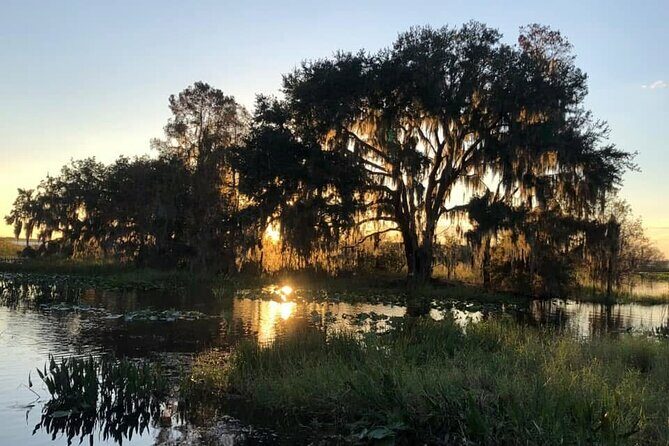 1 Hour Florida Everglades Wildlife Tour - Who Will Love This Tour?
