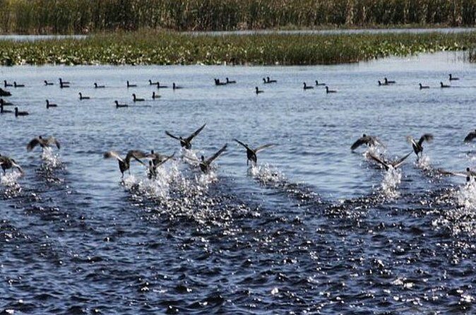 1 Hour Florida Everglades Wildlife Tour - Frequently Asked Questions