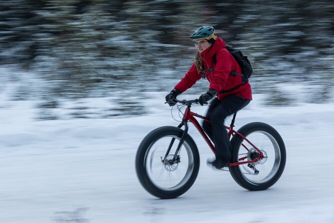 1-Hour Guided Group Fat Bike Tour - Tour Details