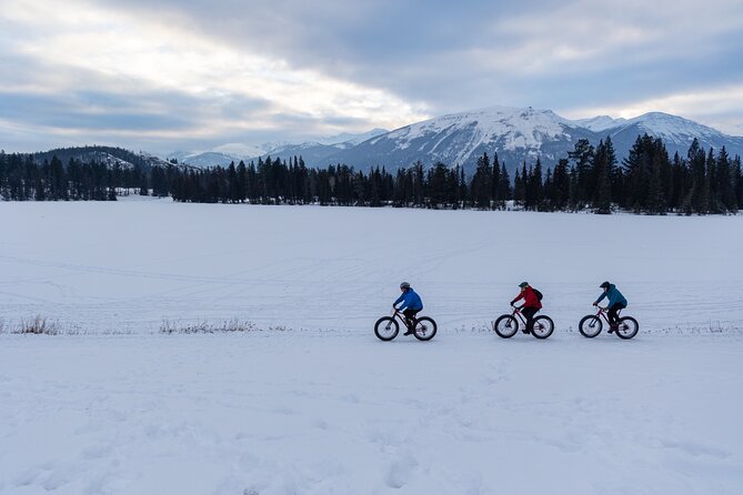 1-Hour Guided Group Fat Bike Tour - Physical Fitness Requirements