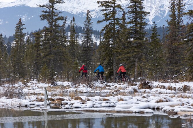 1-Hour Guided Group Fat Bike Tour - Additional Information