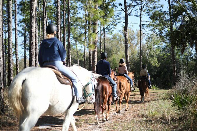 1 Hour Guided Horseback Trail Ride Rock Springs Run State Reserve - An In-Depth Look at the Rock Springs Run Experience