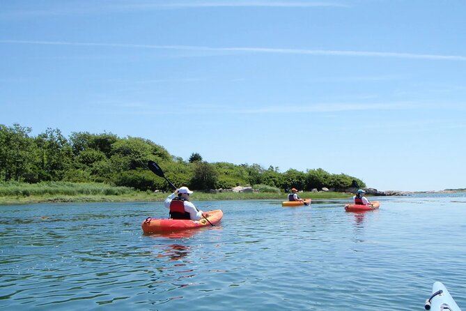 1 Hour Guided SUP/Kayak Tour in Pelican Bay at Fort Myers Beach - Location and Meeting Details