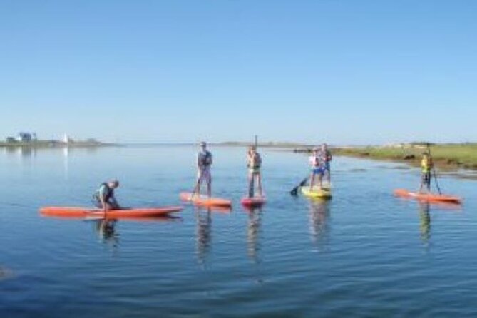 1 Hour Guided SUP/Kayak Tour in Pelican Bay at Fort Myers Beach - Pricing and Availability