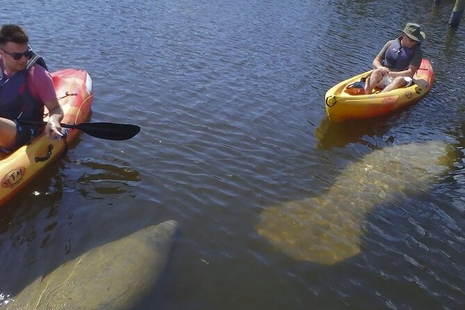 1 Hour Guided SUP/Kayak Tour in Pelican Bay at Fort Myers Beach - Physical Fitness Requirement