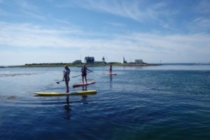 1 Hour Guided SUP/Kayak Tour in Pelican Bay at Fort Myers Beach - Tour Experience Highlights