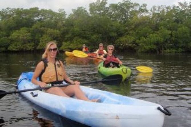 1 Hour Guided SUP/Kayak Tour in Pelican Bay at Fort Myers Beach - Customer Reviews and Ratings