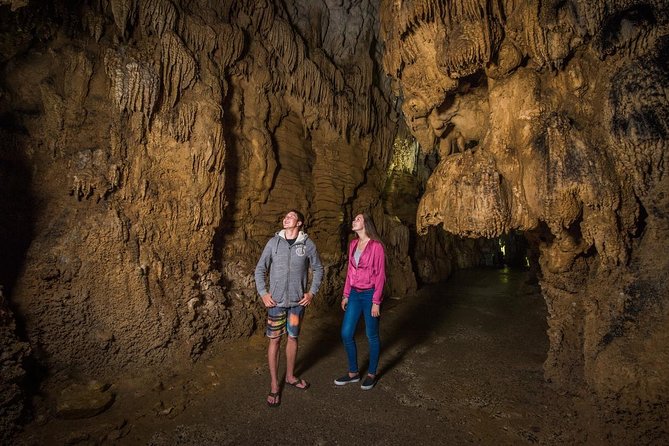 1-Hour Guided Tour of Aranui Cave Waitomo - Tour Experience