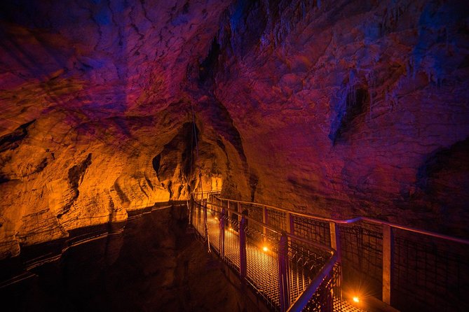 1-Hour Guided Tour of Aranui Cave Waitomo - Native Wildlife and Natural Setting