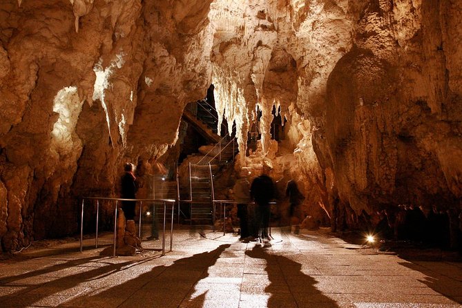1-Hour Guided Tour of Aranui Cave Waitomo - Tour Times and Accessibility