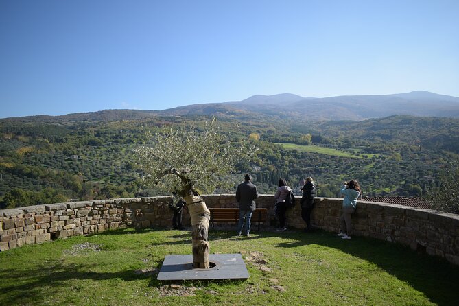 1-Hour Guided Visit to the Olive Tree That Speaks and the Hypogeum Oil Mill - About Your Stay