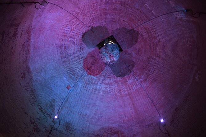 1-Hour Guided Visit to the Olive Tree That Speaks and the Hypogeum Oil Mill - Exploring the Olive Tree That Speaks